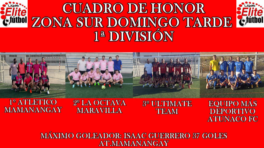 CUADRO DE HONOR ZONA SUR DOMINGO TARDE 1ª DIVISIÓN
